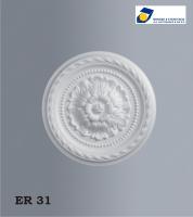 ER31